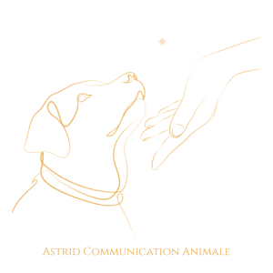 Logo : une main invite un chien à parler