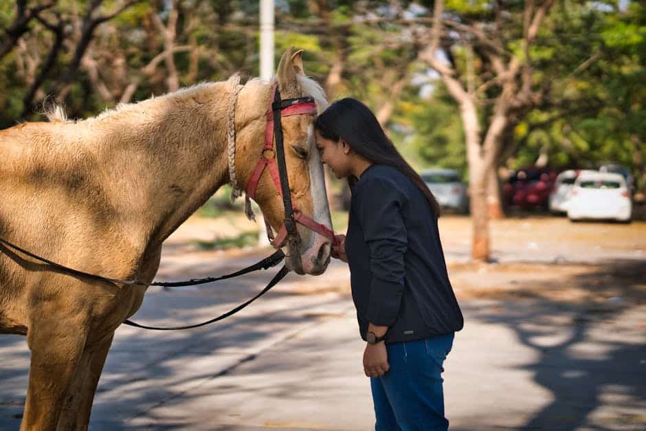 A woman gently interacting with a horse in a serene park setting, exemplifying friendship.