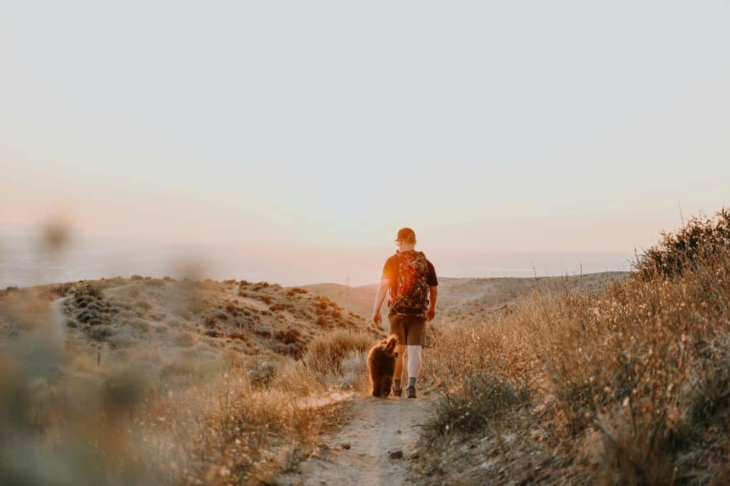 A man with a backpack walking his dog on a rural trail at sunset, surrounded by scenic nature.