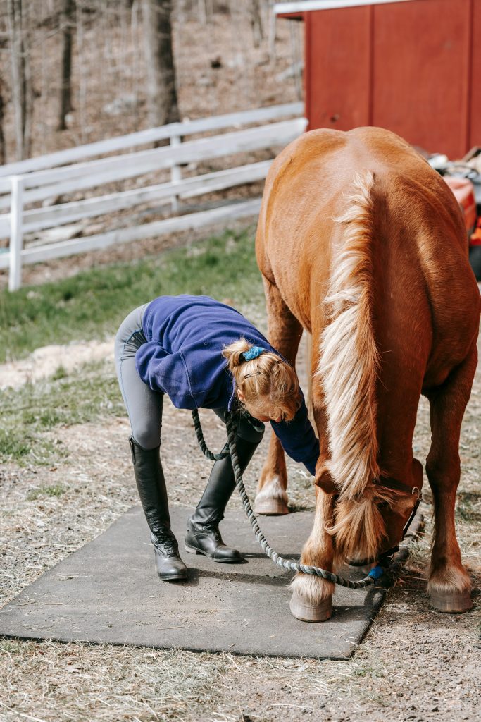 A woman attentively grooms a horse's hooves in an outdoor rural area during spring.
