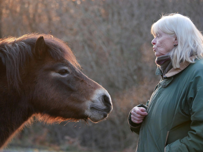 Elderly Woman and Horse in a field
