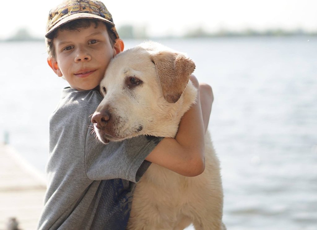 boy, animal, dog, friendship, complicity, labrador, pet, child