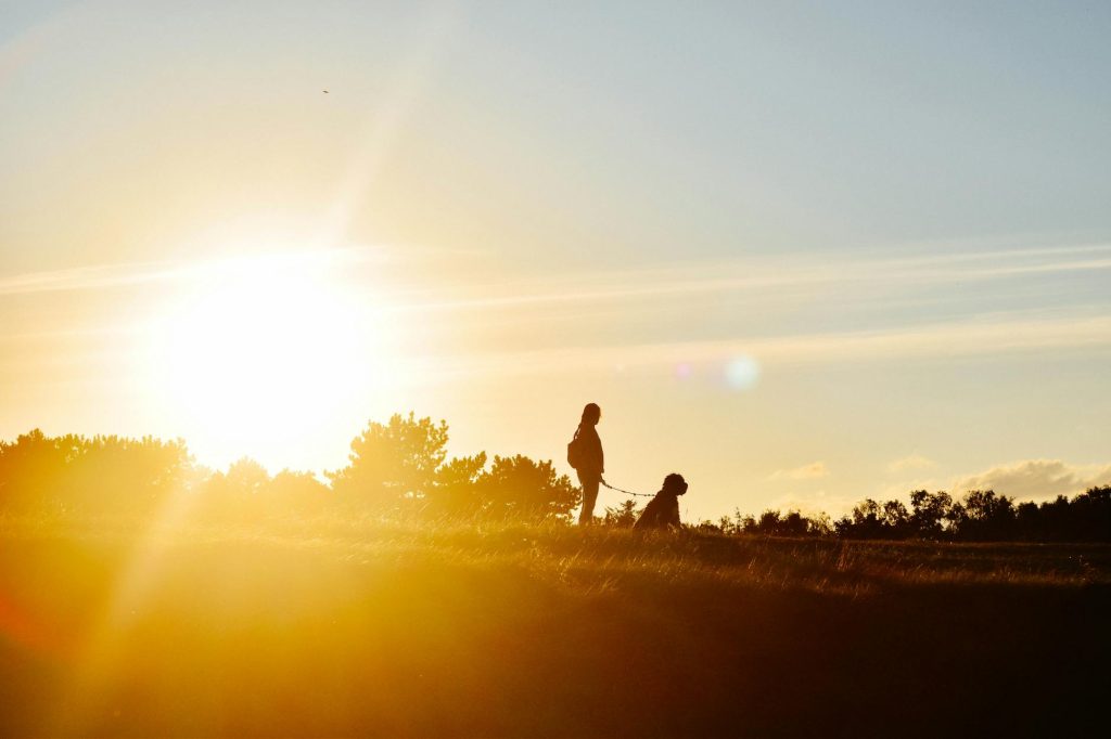 A woman walks her dog at sunset in Århus, Denmark, casting striking silhouettes.