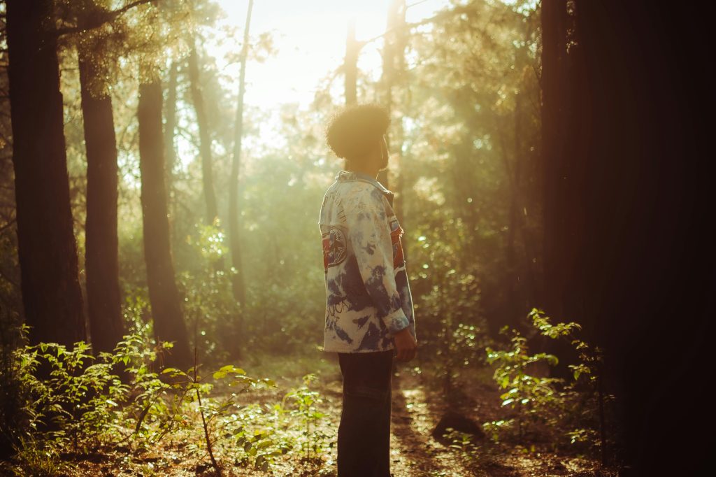 A person stands thoughtfully in a sunlit forest surrounded by tall trees and glowing foliage.