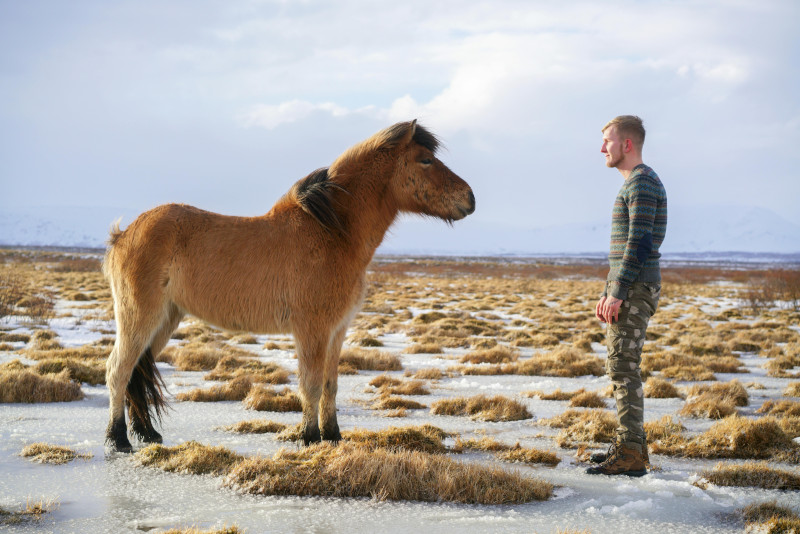 communicatino_animale_question_cheval Man facing a Pony in a steppes landscape
