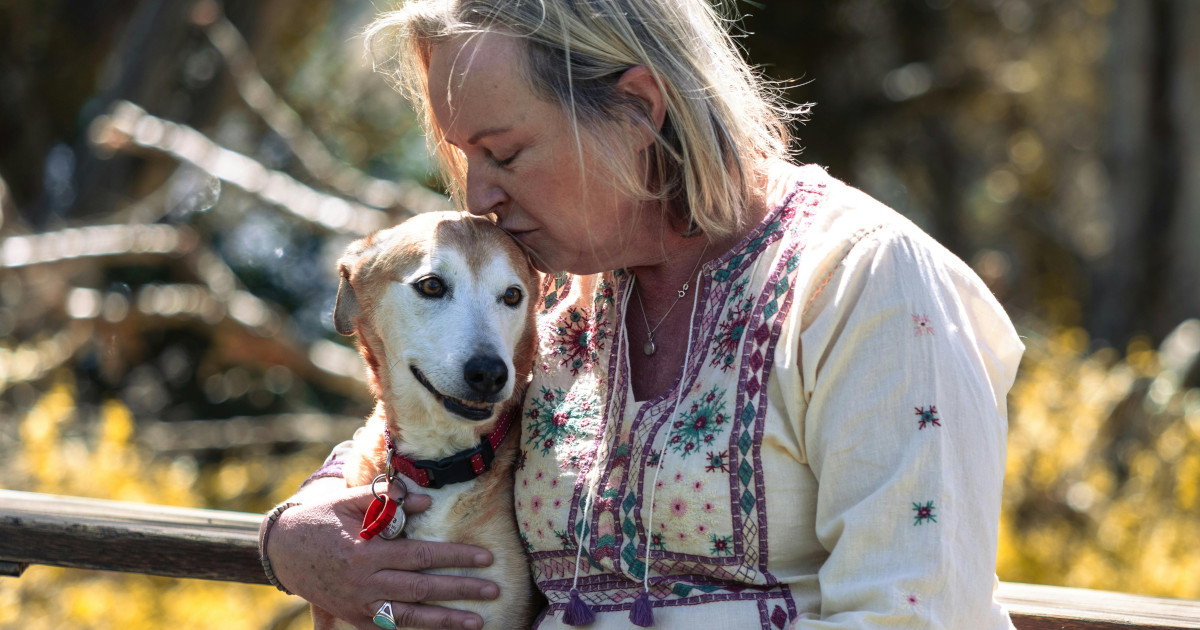 Heartfelt Moment Between Woman and Dog Outdoors