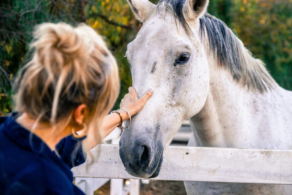A woman tenderly interacts with a friendly horse at a ranch, showcasing connection and tranquility.
