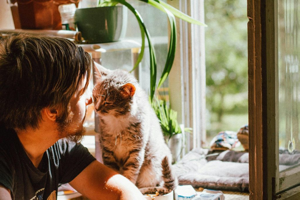 Side view of anonymous unshaven male sitting close to adorable fluffy cat while looking at each other near open window in sunlight in apartment